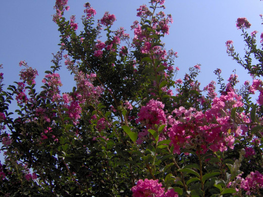 424056 (a): :1600x1200
